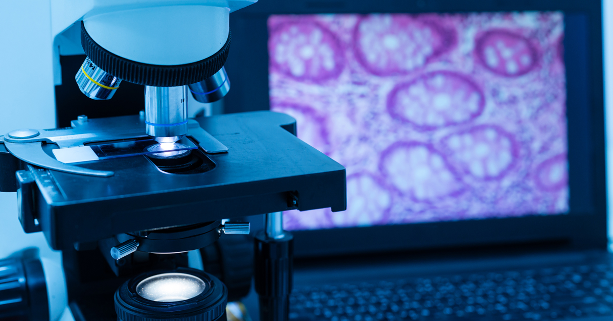 Pathology image